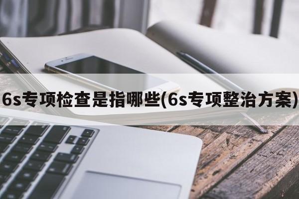 6s专项检查是指哪些(6s专项整治方案)